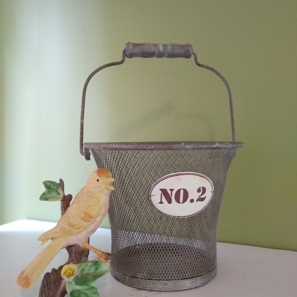 Metal basket with wooden handle